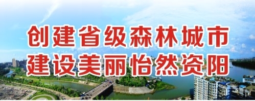 黑鸡巴干B网址创建省级森林城市 建设美丽怡然资阳